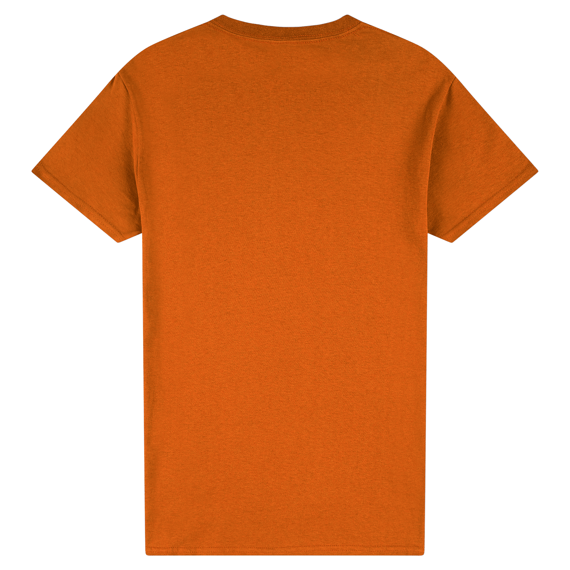 #colour_Texas Orange