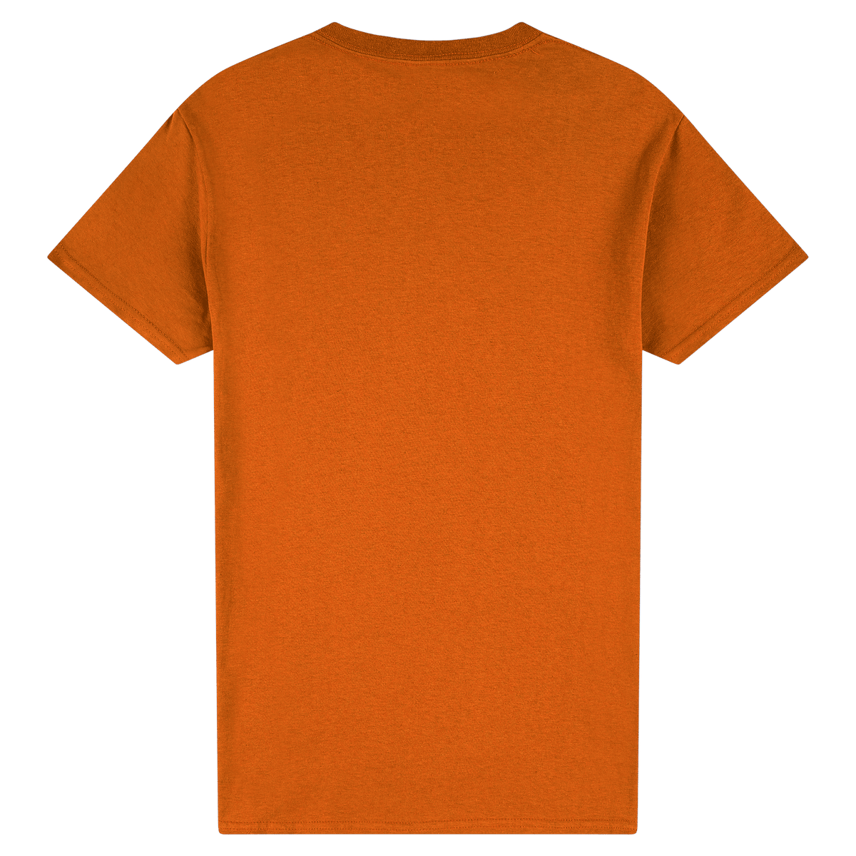 #colour_Texas Orange