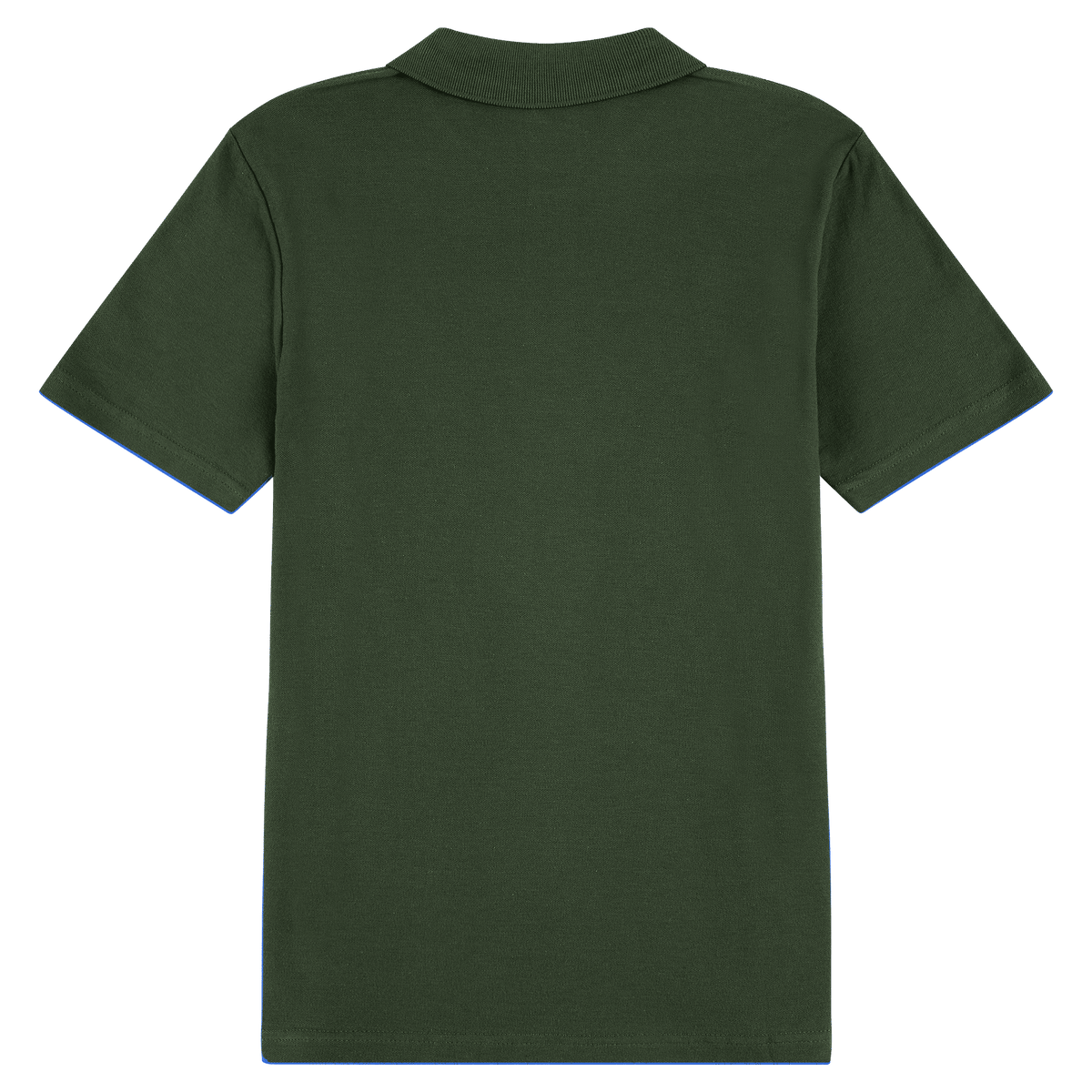 #colour_Forest Green