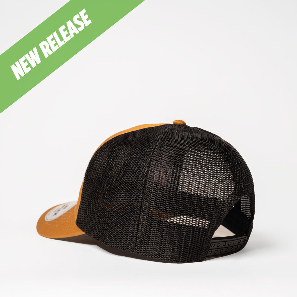 #colour_Tan / Black Mesh