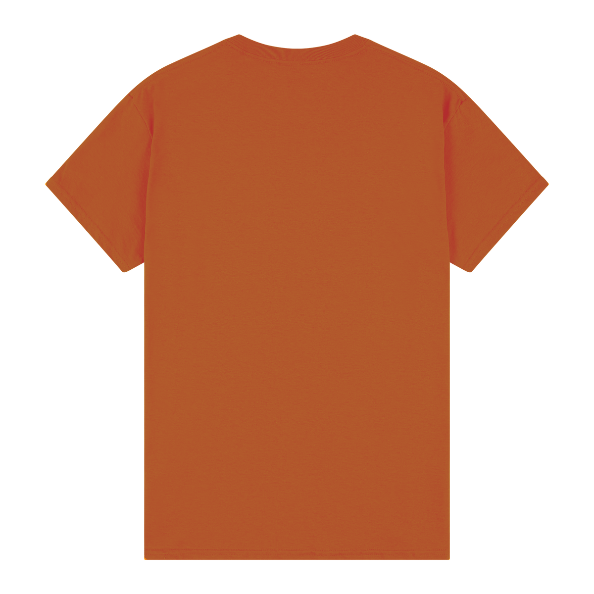 #colour_Texas Orange