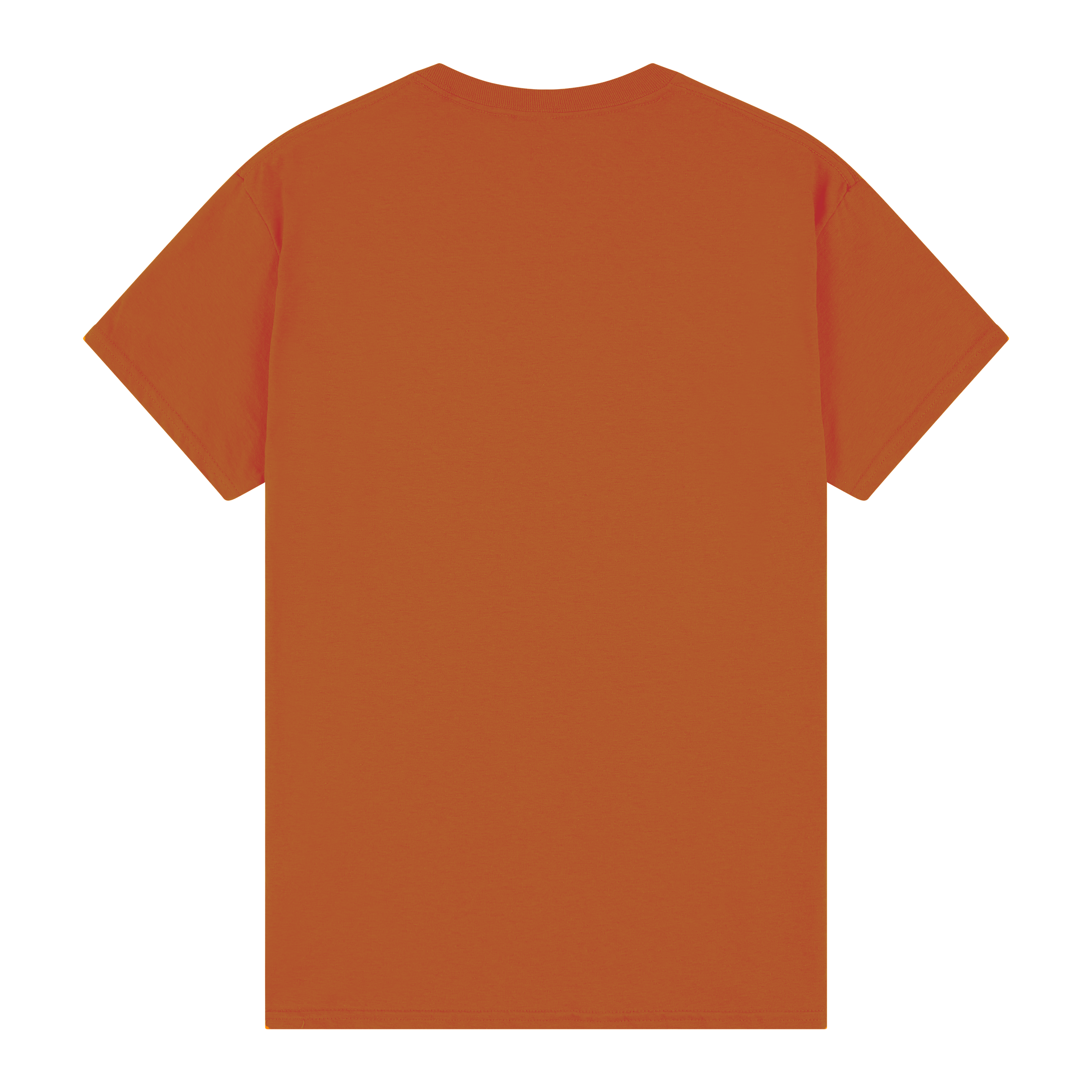 #colour_Texas Orange