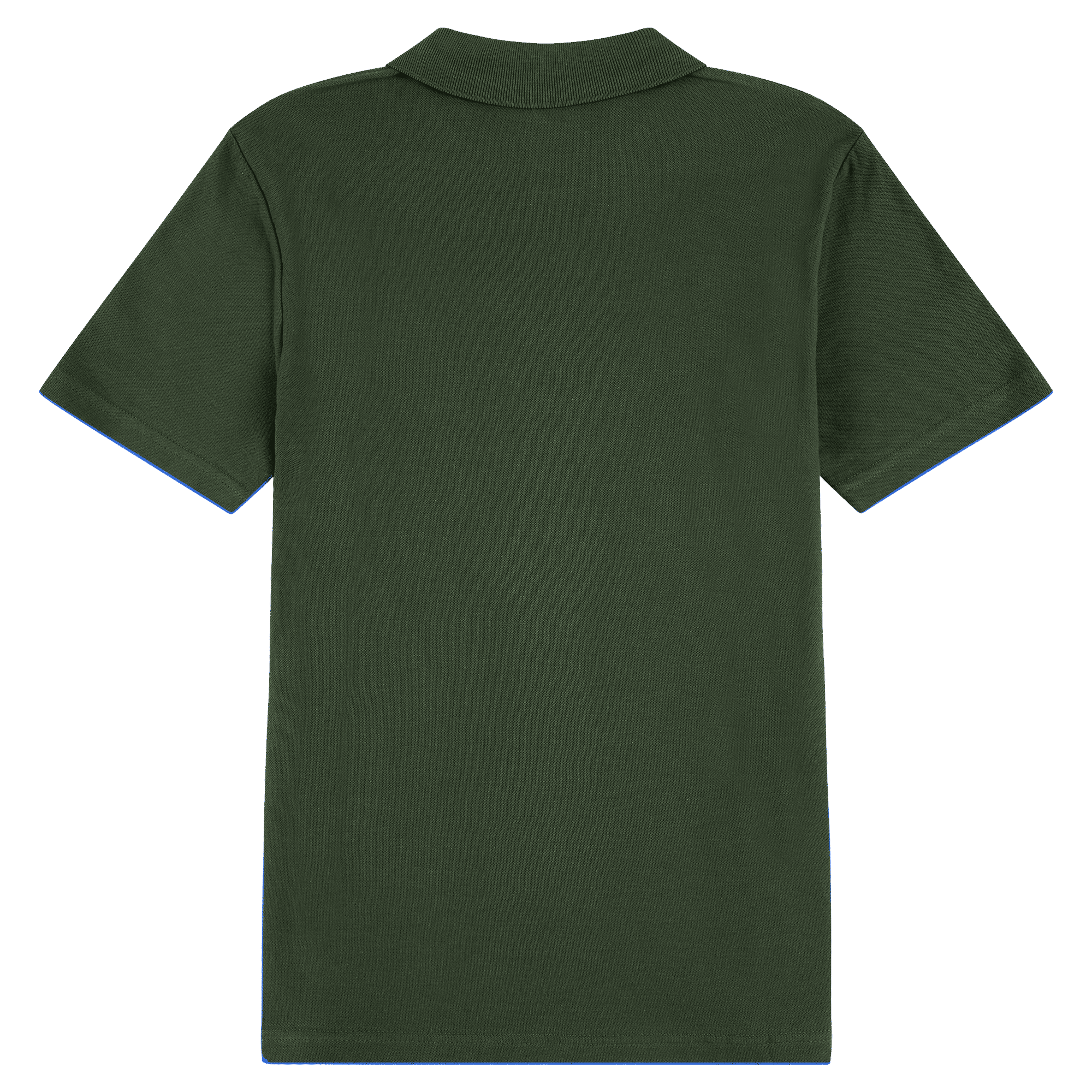 #colour_Forest Green