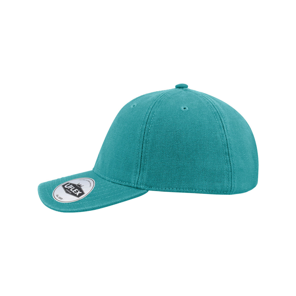 #colour_Aqua Mint